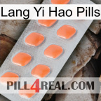 Lang Yi Hao Pills 26